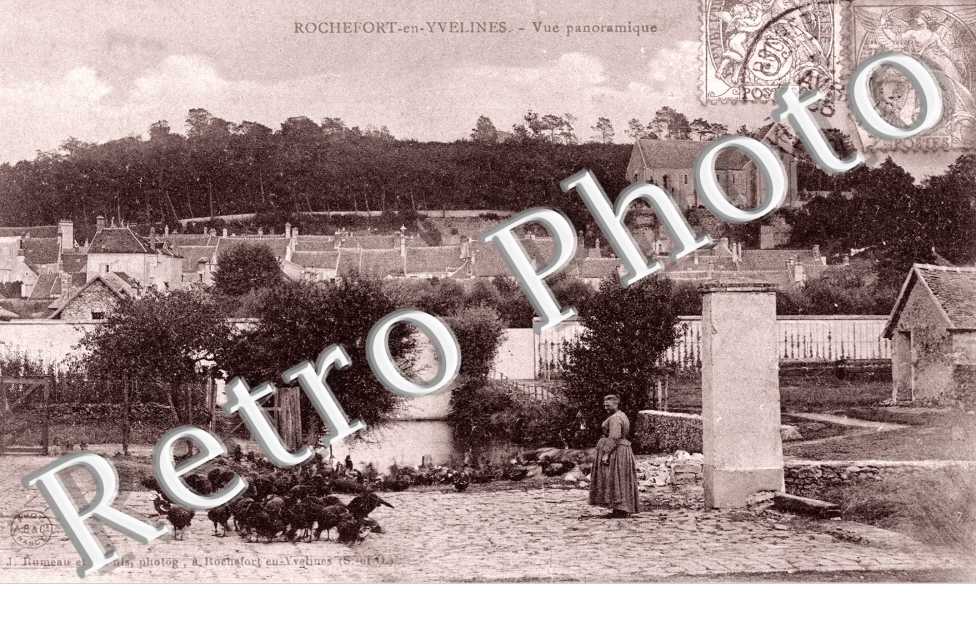 Vue Panoramique