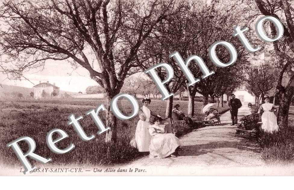 Une allee du parc