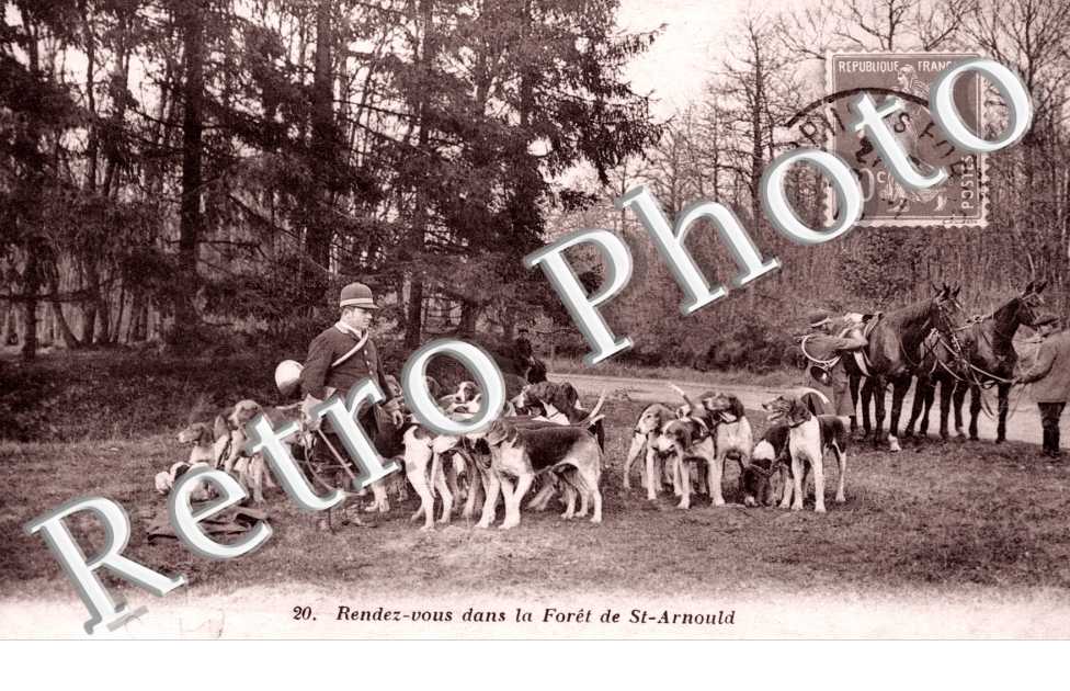 Rendez vous dans la Foret
