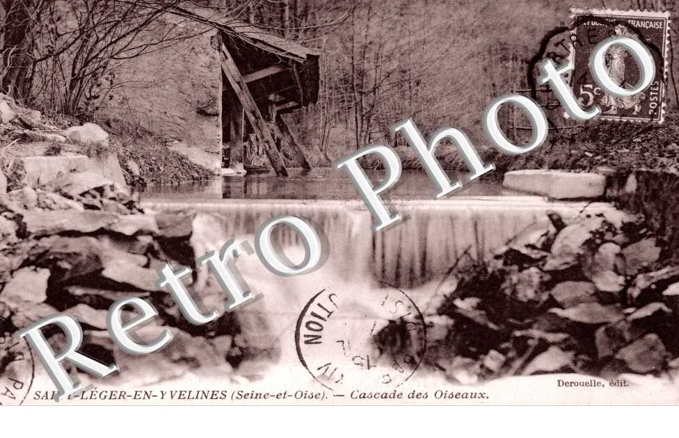 Cascade des oiseaux