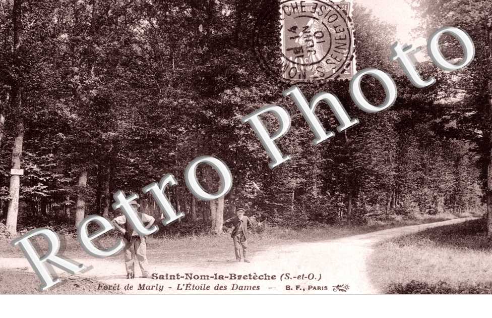 Foret de Marly, L'Etoile des Dames