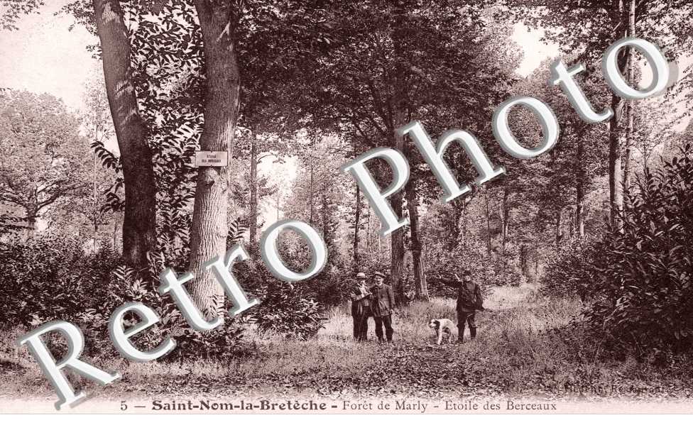 Foret de Marly, Etoile des Breceaux
