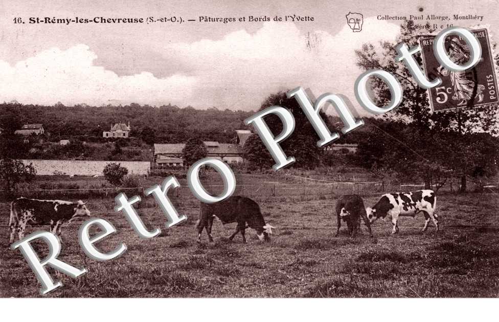Paturages et bords de l'Yvette