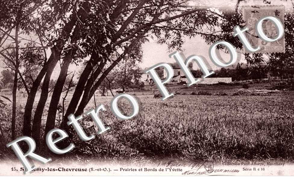 Prairies et bords de l'Yvette
