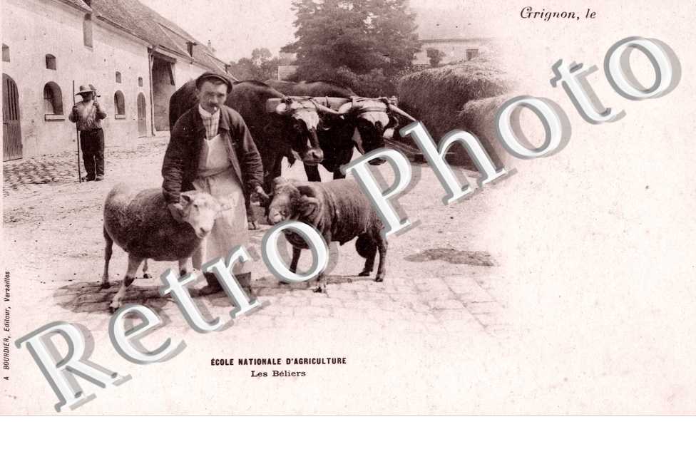 Ecole Nationale d'Agriculture, Les Beliers