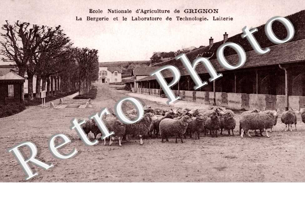 Ecole Nationale d'Agriculture, la Bergerie et le laboratoire de Technologie
