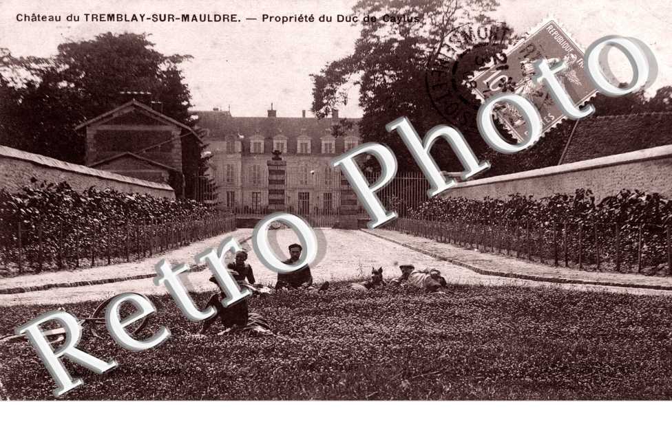 Chateau Propriete du Docteur de Caylus