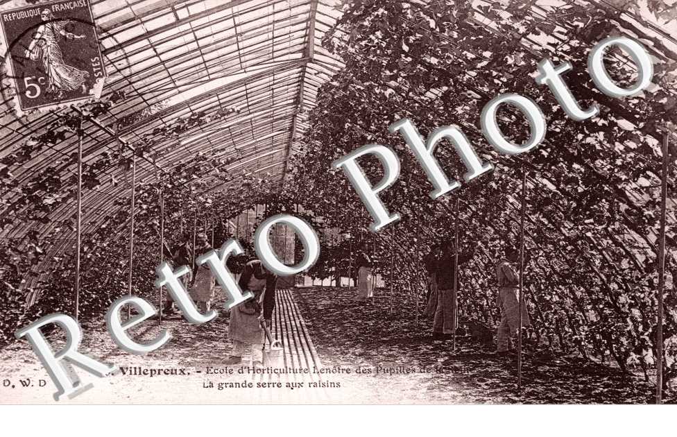 l'Ecole d'Horticulture Lenotre, Pupilles de la Seine, la Grande Serre aux raisins
