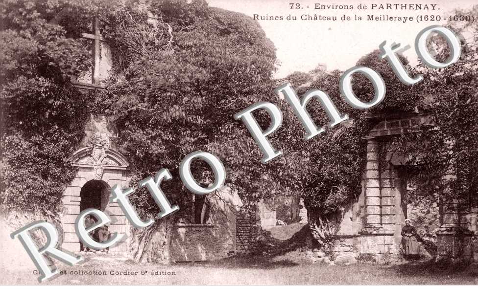 Ruines du Chateau de la Meilleraye