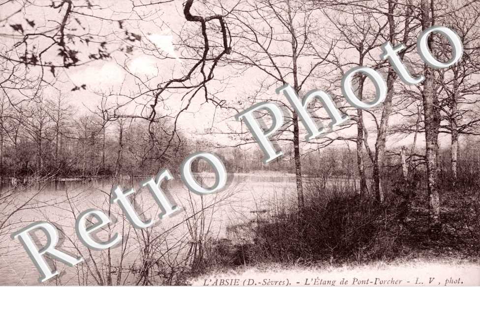 Etang de Pont Porcher