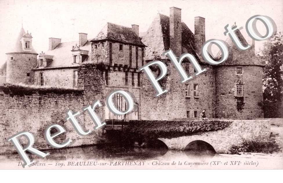 Chateau de Guyonniere