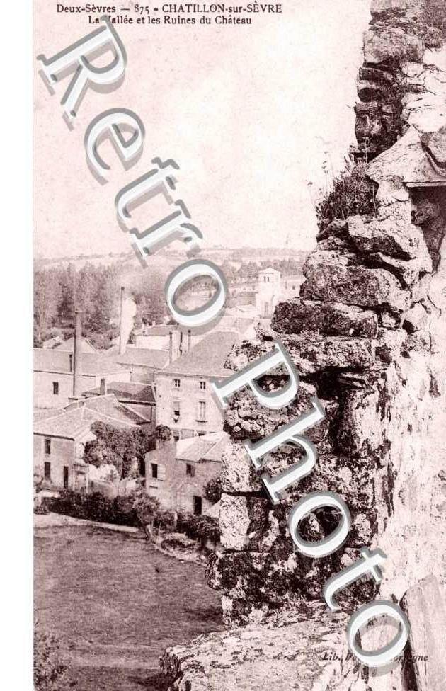 Vallee et les ruines du chateau