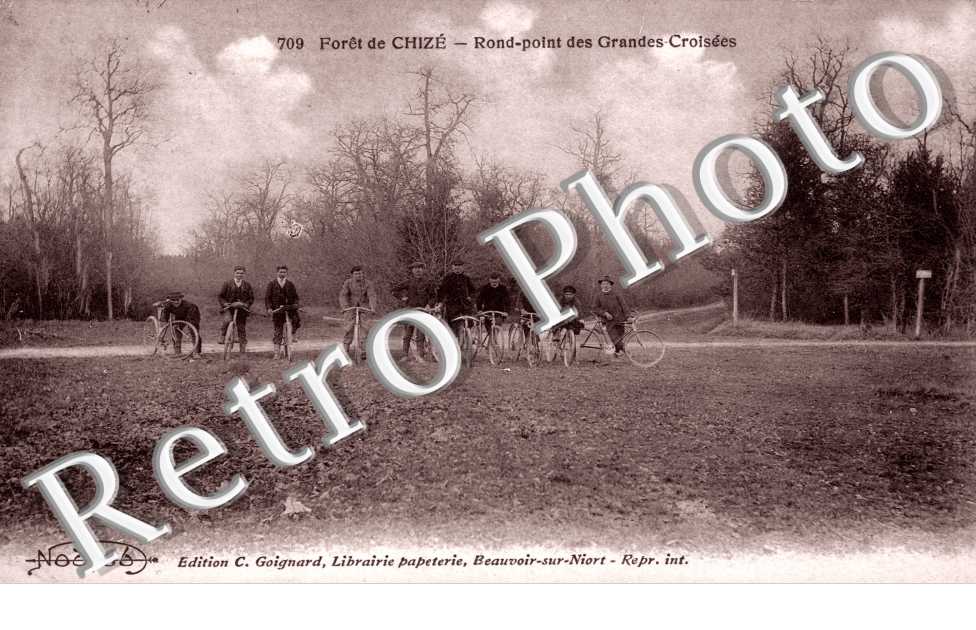 Rond-point des grandes-croisees - foret de Chize