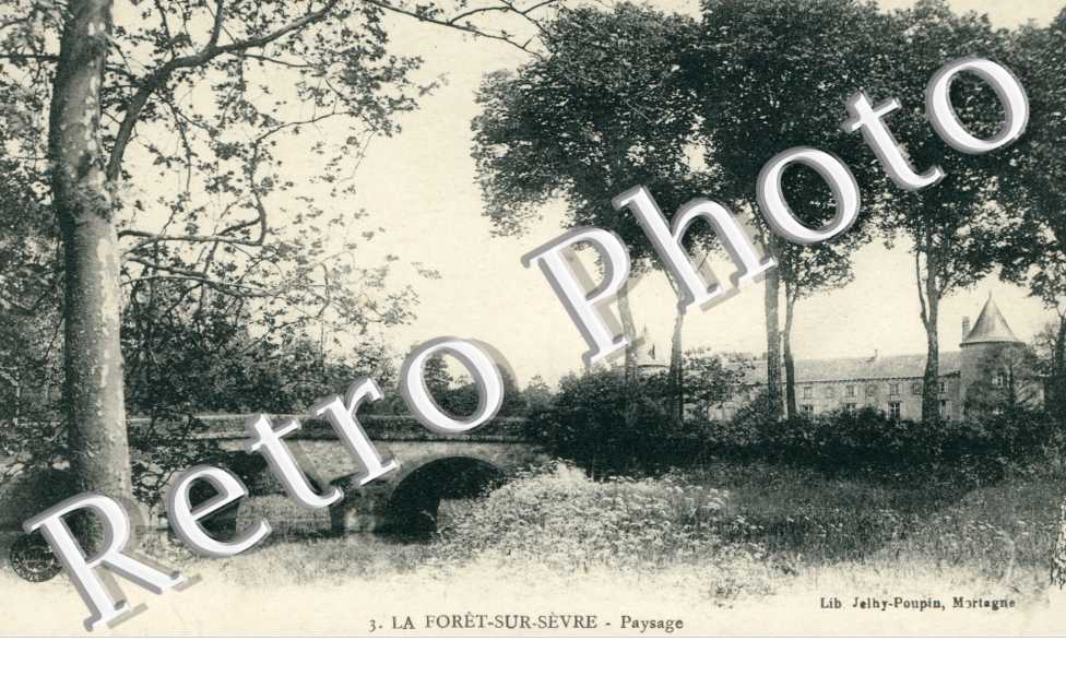 Paysage