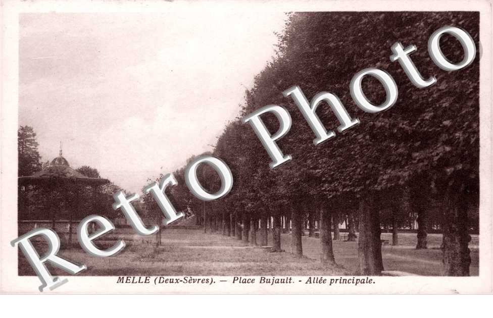 Place Bujault, Allee principale