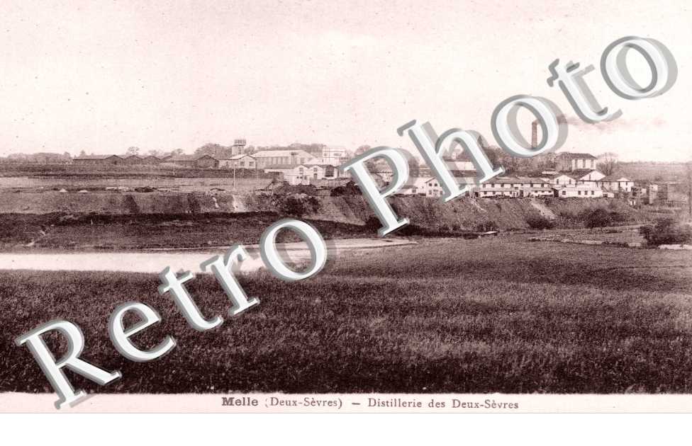 la Distillerie des Deux-Sevres