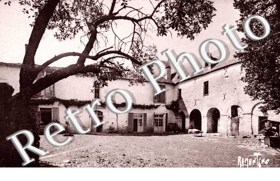 Vieux Chateau