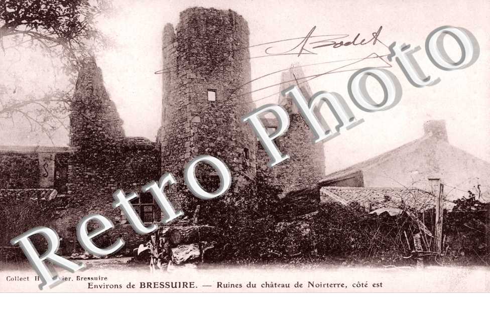les Ruines du Chateau de Noirterre