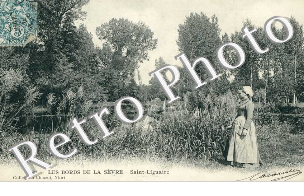 les Bords de la Sevre