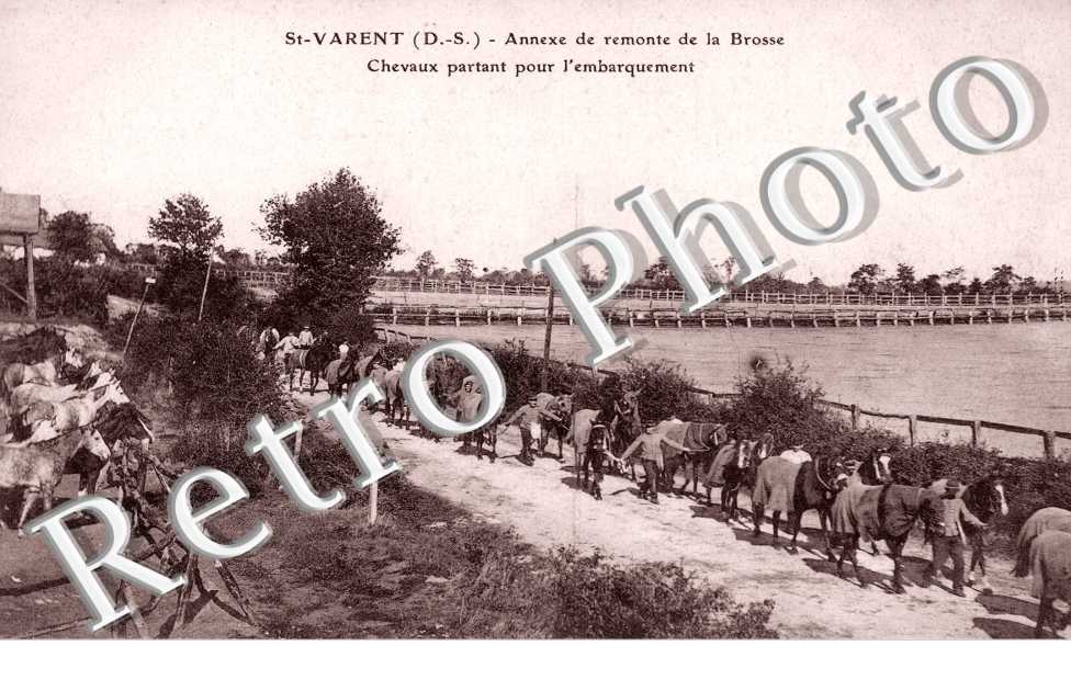 l'Annexe de Remonte de la Brosse, les Chevaux partant pour l'Embarquement