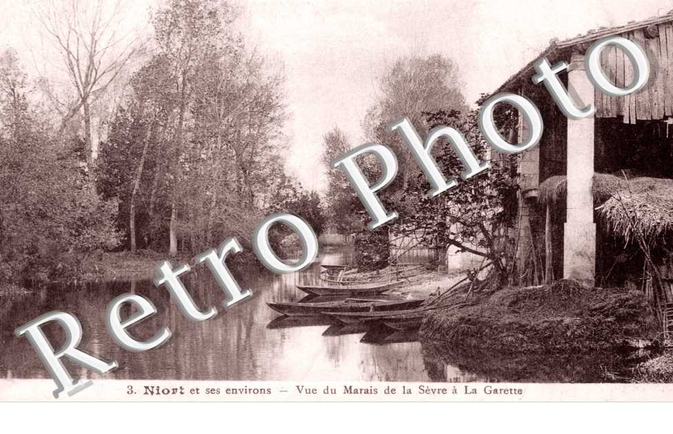Vue du Marais de la Sevre a la Garette
