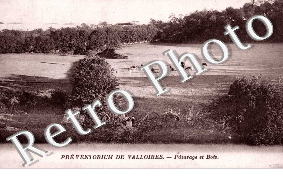 Preventorium de Valloires, Paturage et Bois