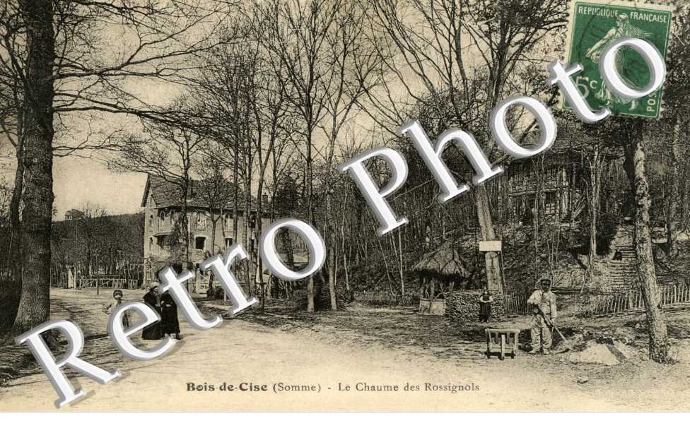 Bois de Cise - la chaume des Rossignols