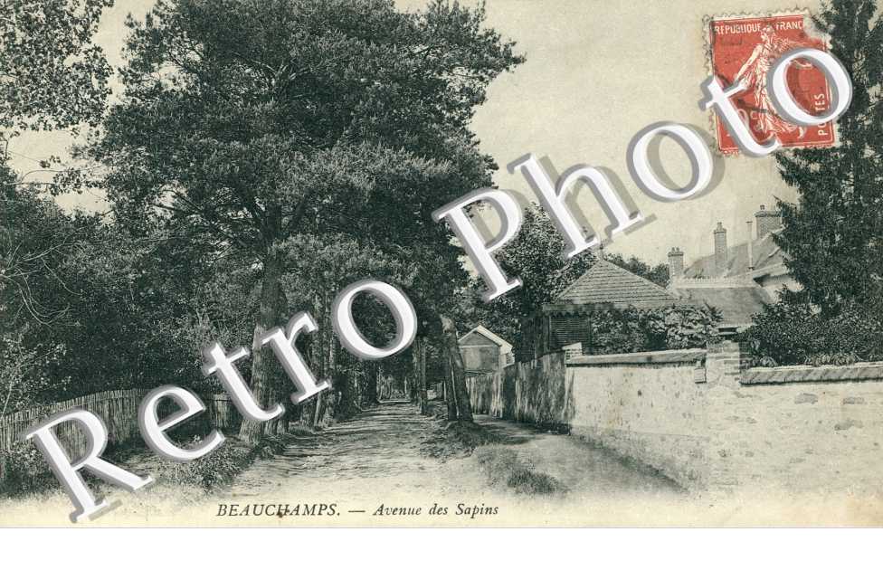 Avenue des Sapins