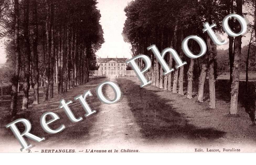 L'Avenue et le Chateau