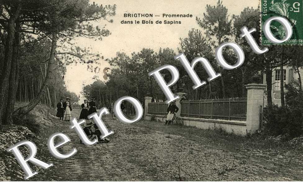 Brighton Promenade dans le bois de sapin