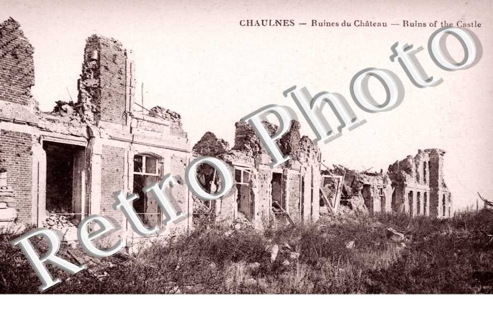 les ruines du chateaux