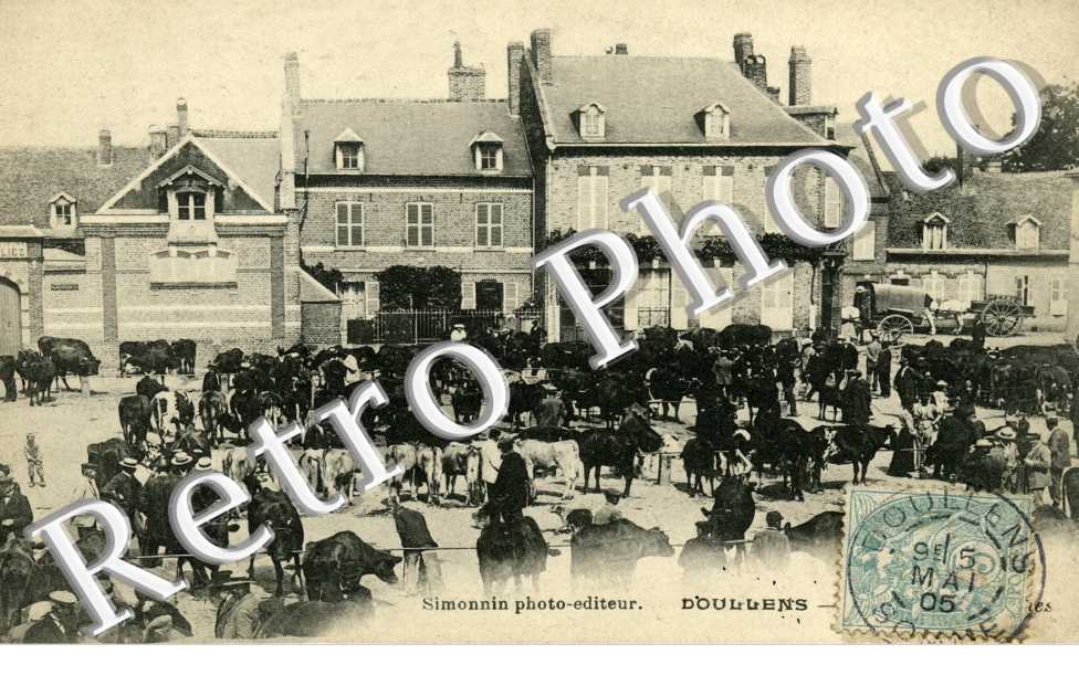 des vaches devant une maison