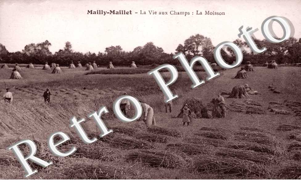 la Vie au Champ: la Moisson