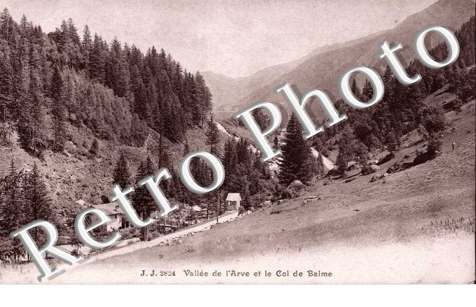 Vallee de l'Arve et le Col de Balme