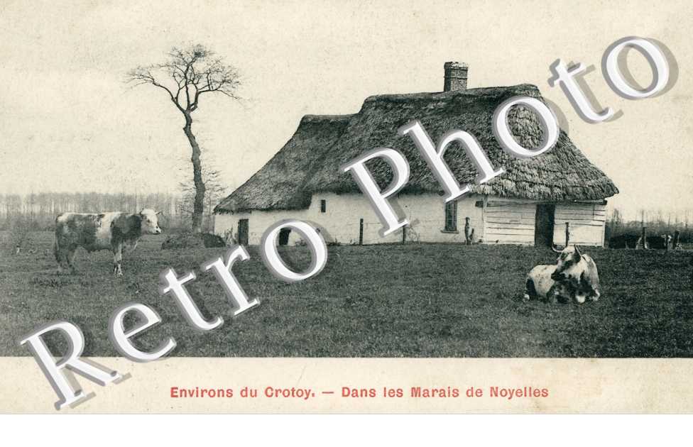 dans les Marais de Noyelles