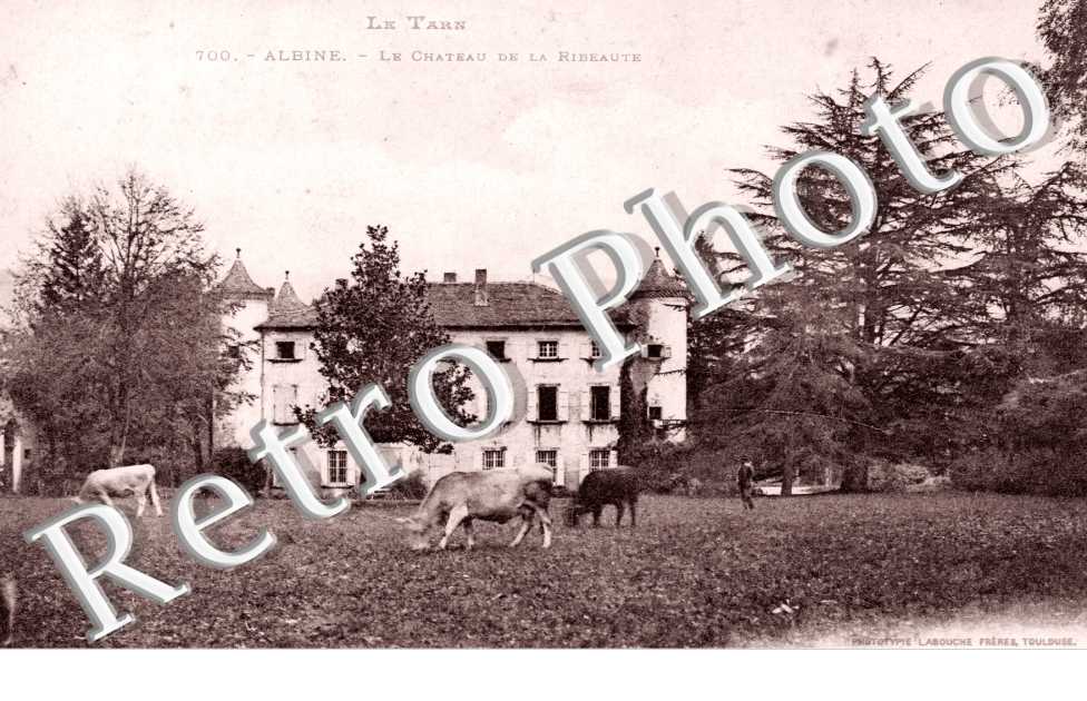 Chateua de la Ribeaute