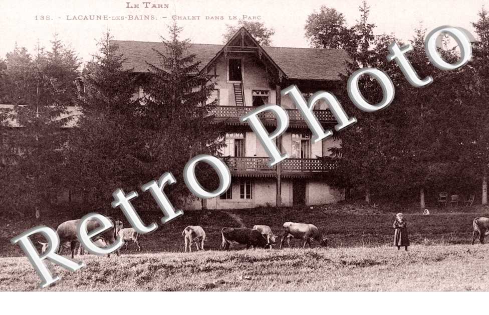 Chalet dans le parc