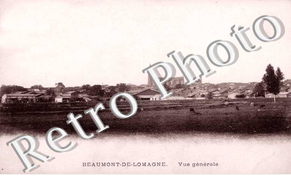 Vue generale