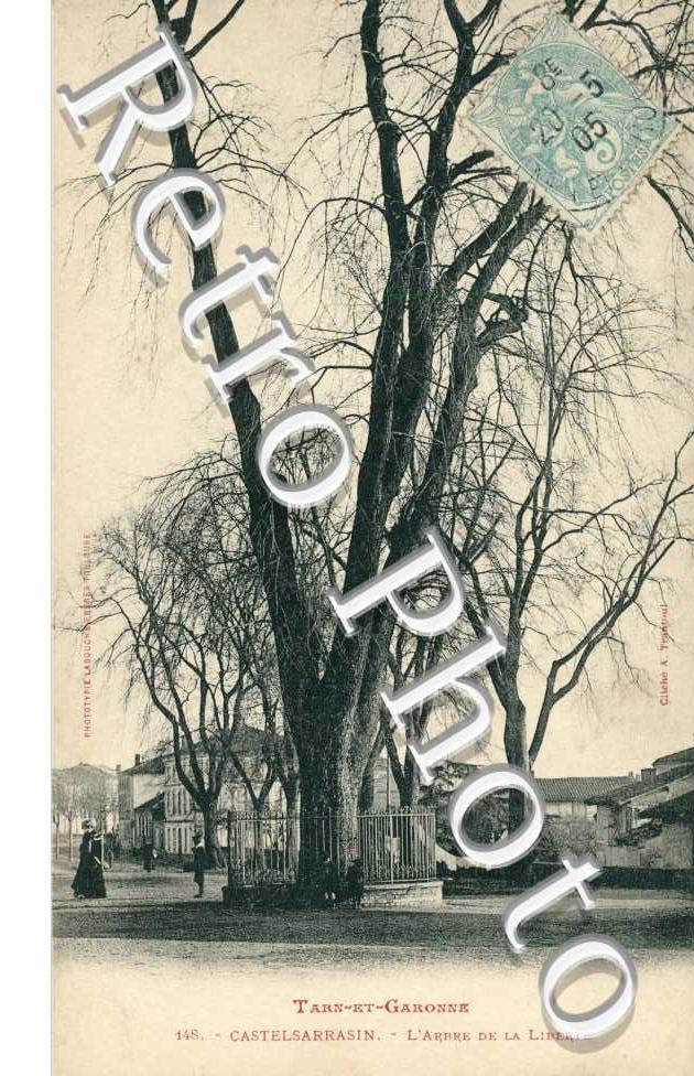 l'Arbre de la Liberte