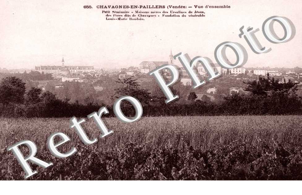 vue d'ensemble
