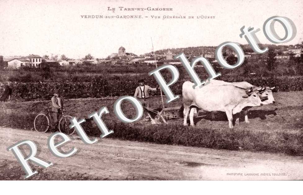 Vue generale de l'Ouest