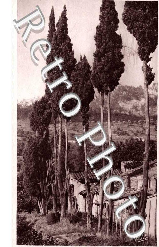 Paysage
