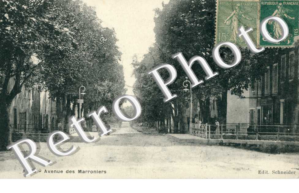 Avenue des Marronniers