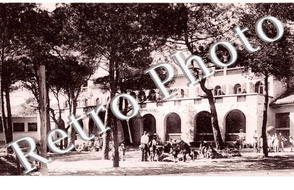 La Pinede