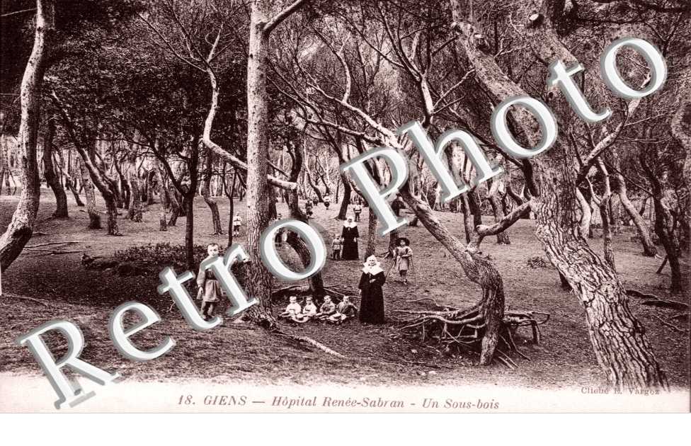 Hopital Renee Sabran, un sous bois