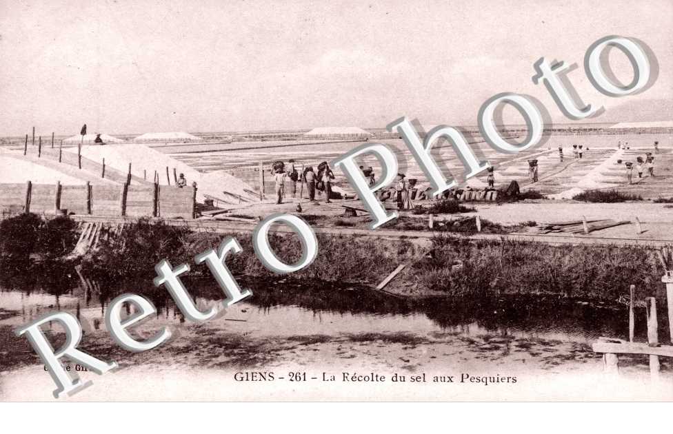 La Recolte du Sel aux Pesquiers