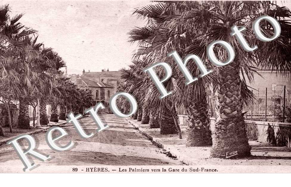 les palmiers vers la gare