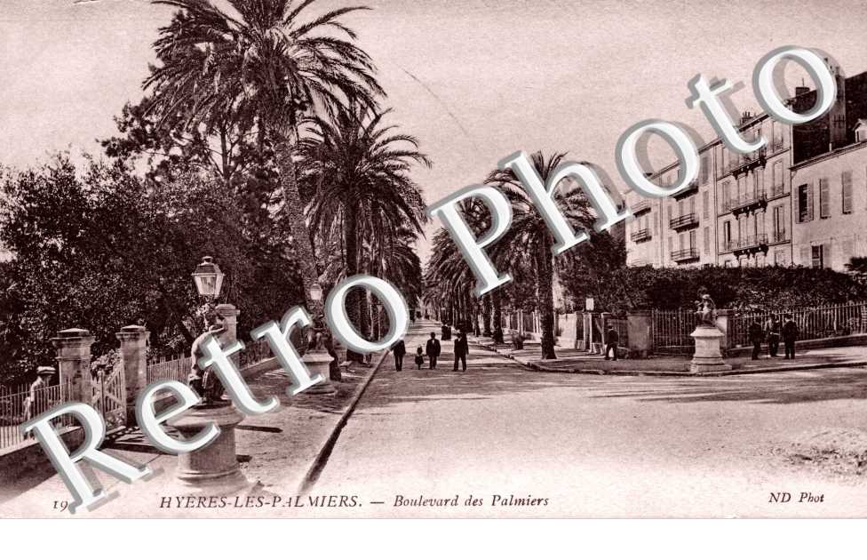 Boulevard des Palmiers