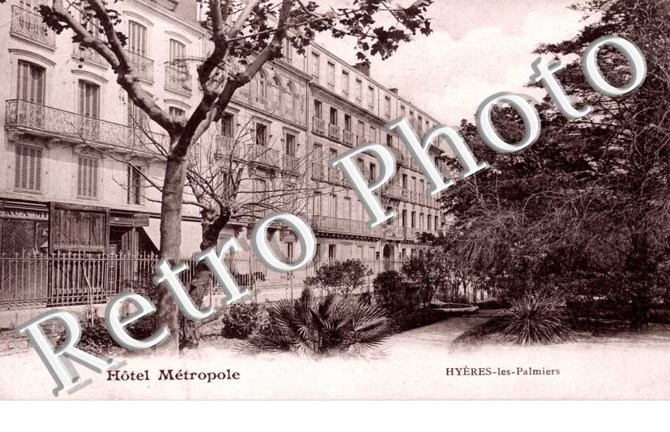 Les Palmiers