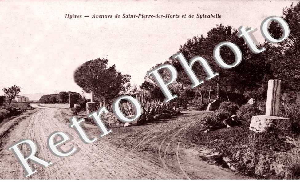 Avenue de Saint Pierre des Horts